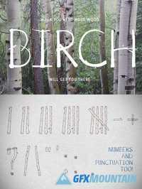 Birch Is Right Here - Fill