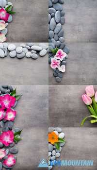 Spa Stones and Flowers, on Grey Background
