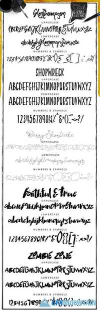 Bundle of Fonts 2 in 1 600309