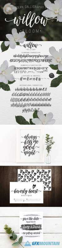 Calligraphy font - Willow Bloom