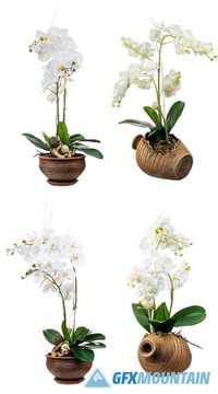 Floral Arrangement from Artificial Orchid Flowers isolated on White Background