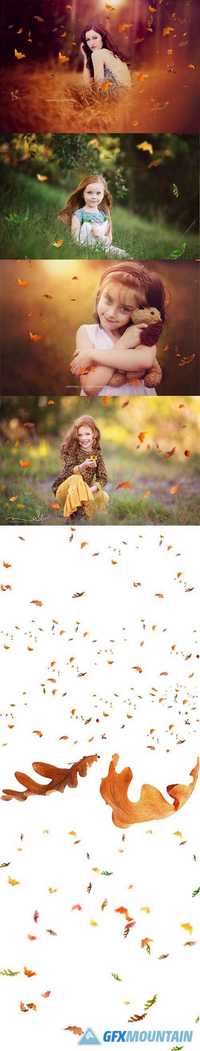 Falling Leaves Photo Overlays