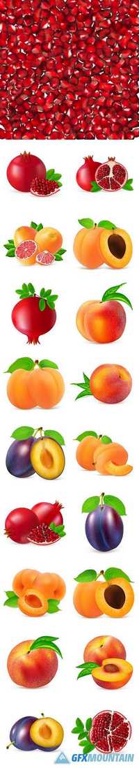 Realistic fruit on a white background