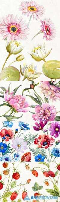 Watercolor bundle "WIld flowers" 770129