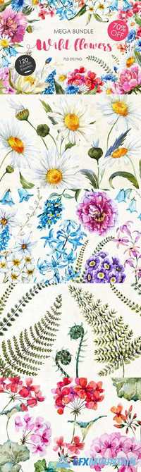 Watercolor bundle "WIld flowers" 770129