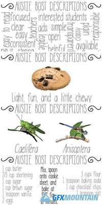 Austie Bost Descriptions