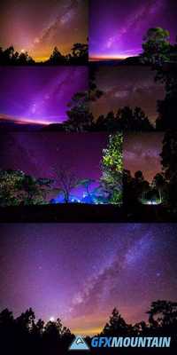 The Milky Way and Some Trees