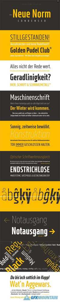 XXII Neue Norm Font Family