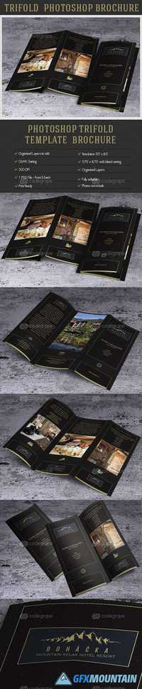 TriFold Brochure 11784