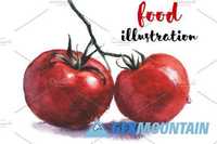 Watercolor Food Veg Illustrations 1140718