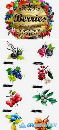 Berries. Digital Art Collection 1 1296923