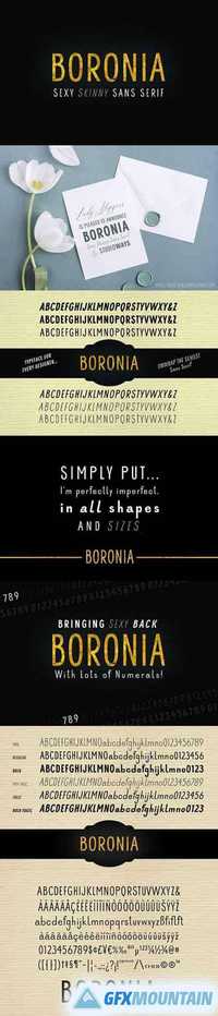 Boronia Sans Serif Fonts 1322398