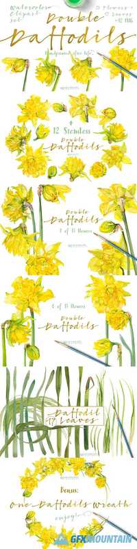 Double Daffodils 1340329