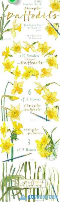 Simple Daffodils 1343602