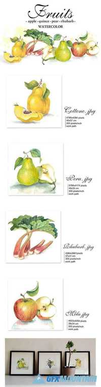 Set of 4 watercolor Fruits 1354716