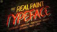 Real Paint Typeface Kit 19688638