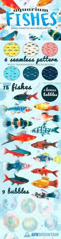 Aquarium Fishes - 1380758