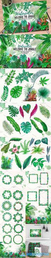 Tropical Leaves in the Jungle - 1317444
