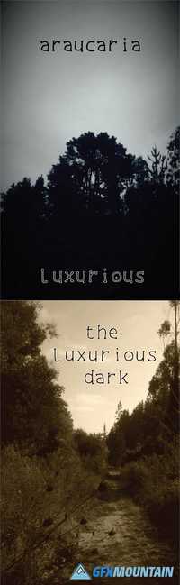 The luxurious dark Font