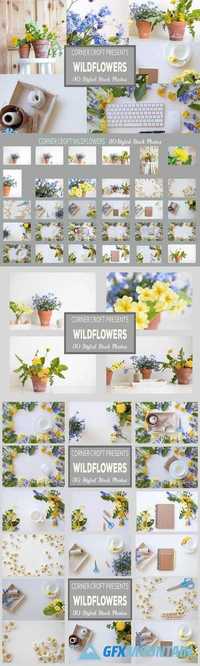 Wildflower Styled Stock Photo Bundle 1478836