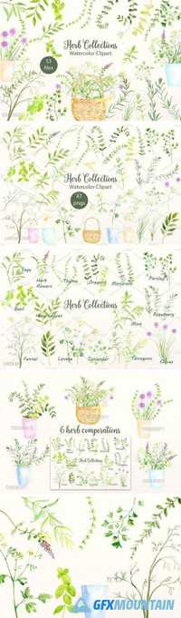 Watercolor clipart herb collections