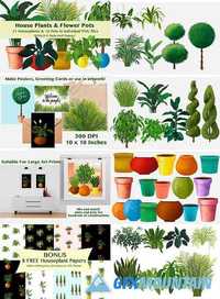 House Plants and Flower Pots + Bonus 1435034