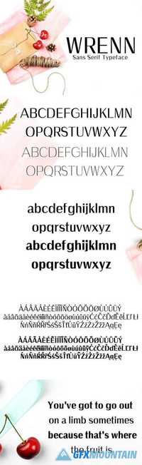 Wrenn Sans Serif Typeface 1487264