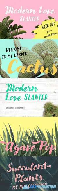 Modern Love Slanted 1415099