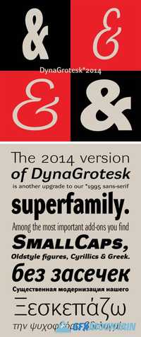 DynaGrotesk Pro Font Family