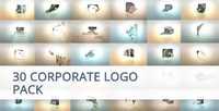 30 Corporate Logo Animation Pack 20022901