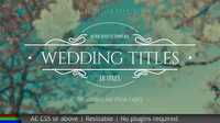Wedding Titles 19995952