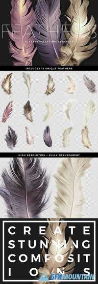 Transparent PNG Feathers Pack 1505546