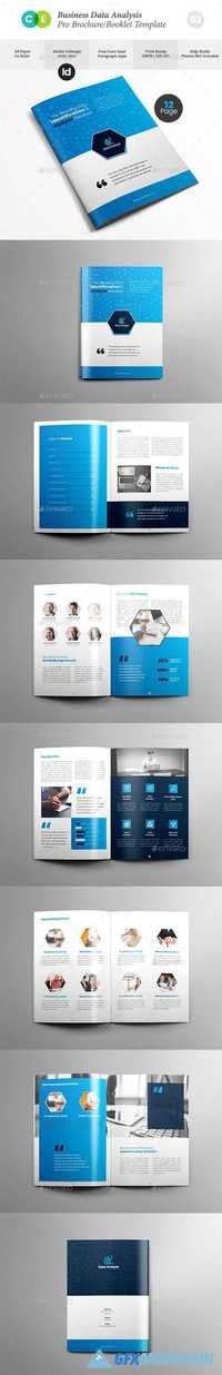 Pro Business Data Analysis Brochure V02 20125676