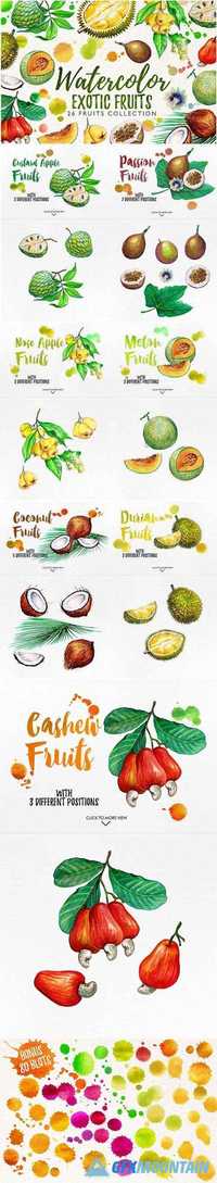 watercolor fruits vol. 6 1024981