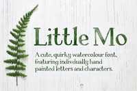 Little Mo Watercolour Display Font 1653035