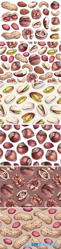 WATERCOLOUR ILLUSTRATIONS OF NUTS - 1708642