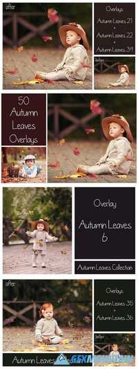 50+ Autumn Leaves Overlays 1739221