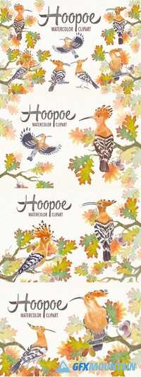Watercolor hoopoe bird clipart 1807565