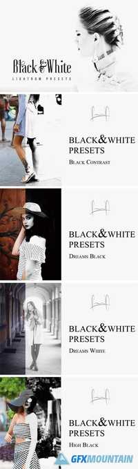 Black & White Lightroom Presets 1884026