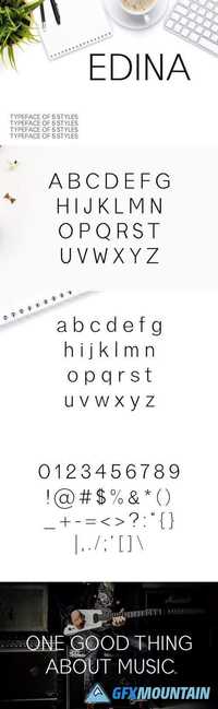 Edina Sans Serif Minimal Typeface 1452495