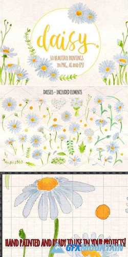 SPRING DAISIES 60 WATERCOLOR ELEMENT - 1897921