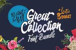 Collection of 10 Unique Fonts Familys - 47 Fonts