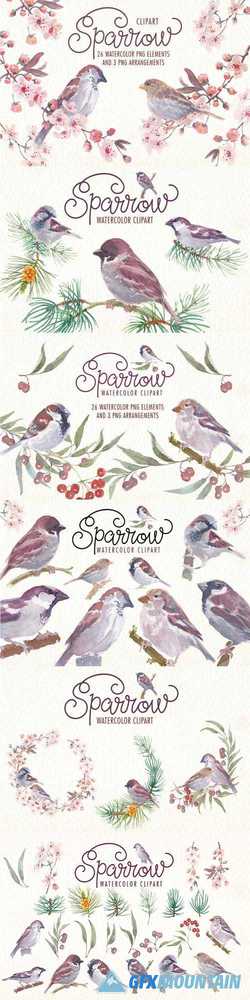 SPARROW BIRD WATERCOLOR CLIPART - 2248520