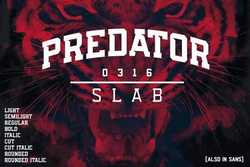 Predator 0316 Slab 883453