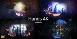Hands 4k  21283873