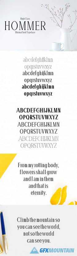 Hommer Minimal Serif Typeface