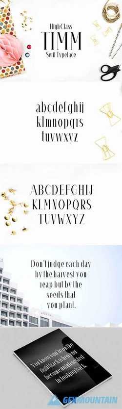 Timm Serif 4 Font Family Pack