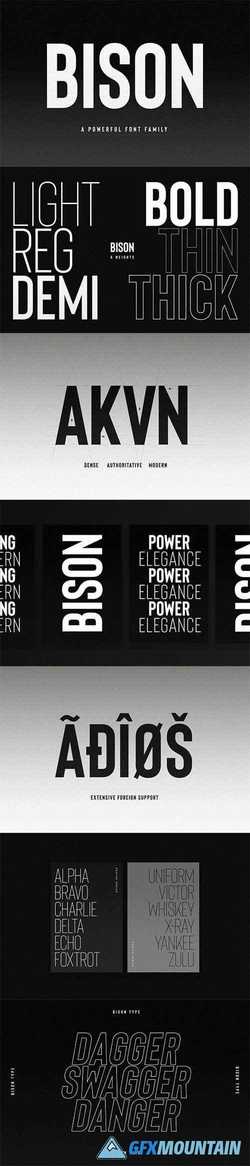 Bison – A Powerful Sans Serif