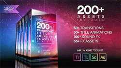 200+ Pack: Transitions, Titles, Sound FX  21474240