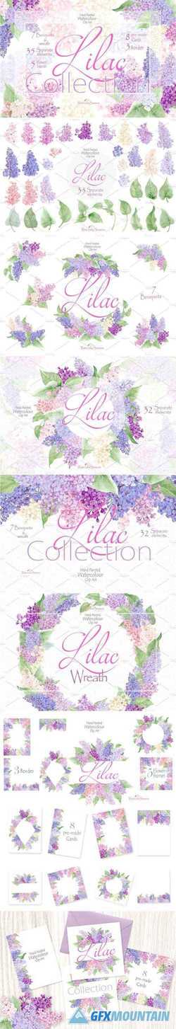 LILAC COLLECTION - 2447193